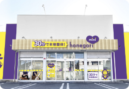 ほねごりmini 秦野水神院