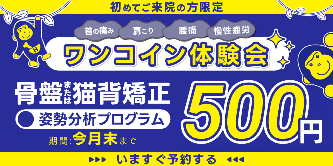 ほねごり あきる野院 ワンコイン体験会