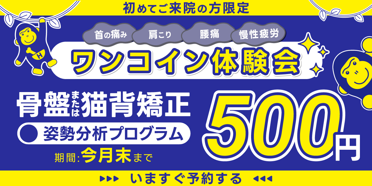 ほねごり整骨院・接骨院グループ