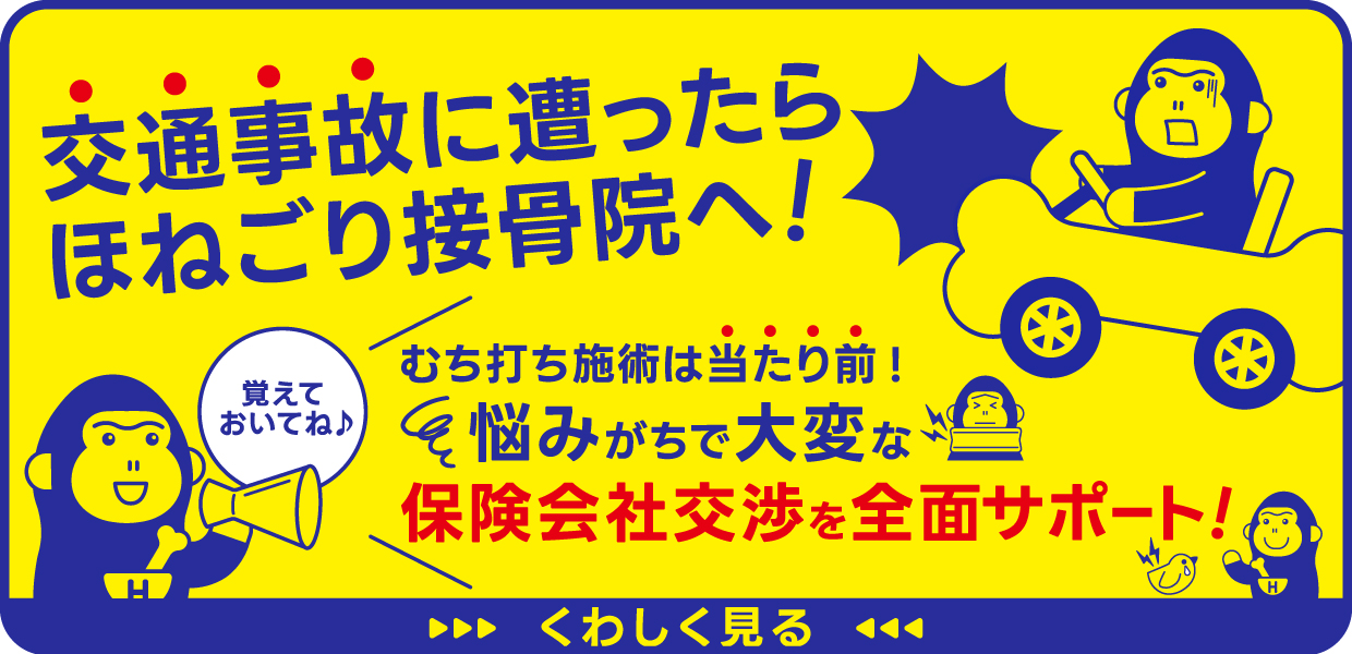 ほねごり整骨院・接骨院グループ