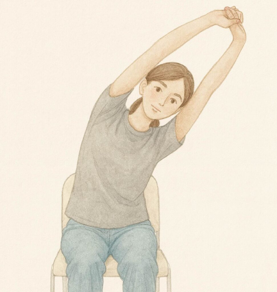 背中のストレッチ