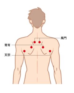 肩甲骨まわりのツボ