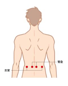 腰まわりのツボ
