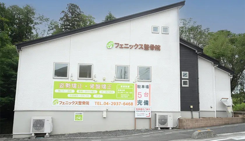 フェニックス整骨院