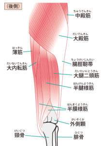 脛 炎 腸 靱帯 スーパーフィートインソールと腸脛靭帯炎(ランナーズ二―)